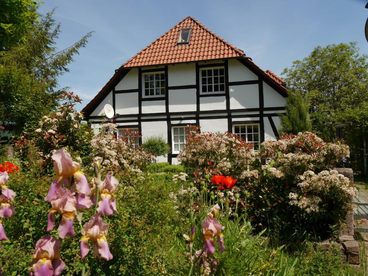 Ferienwohnung Weserblick Polle Kültér fotó